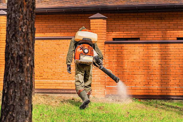 Trusted Rodent Control service in Gnadenhutten, OH - Nex Pest Control